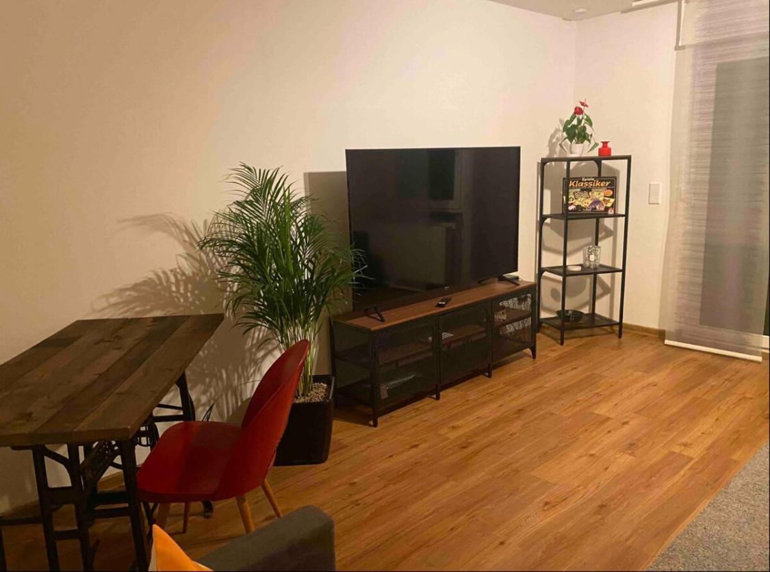 Apartment Roomy Comfort - Zwischen Heidelberg Und Mannheim Edingen-Neckarhausen Eksteriør billede